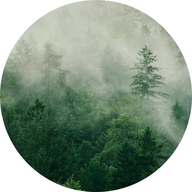 扬州苏祥医疗器械有限公司